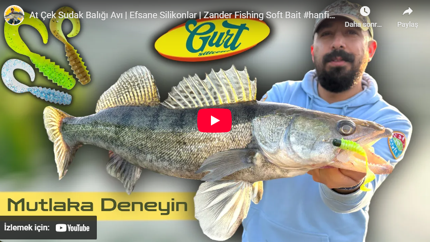 Hanfish Gurt ile At Çek Sudak Balığı Avı