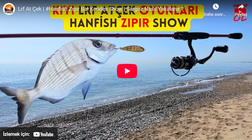 Hanfish Zıpır ile Sargos Avı