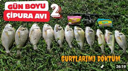 LRF Takımla Gün Boyu Silikonla Çipura Peşinde 