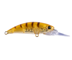 Zıpır U-11 Honey Shrimp