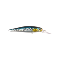 Kapan KP12 - Sardine