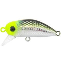 Bıdık 35  X-110  Uv Mullet