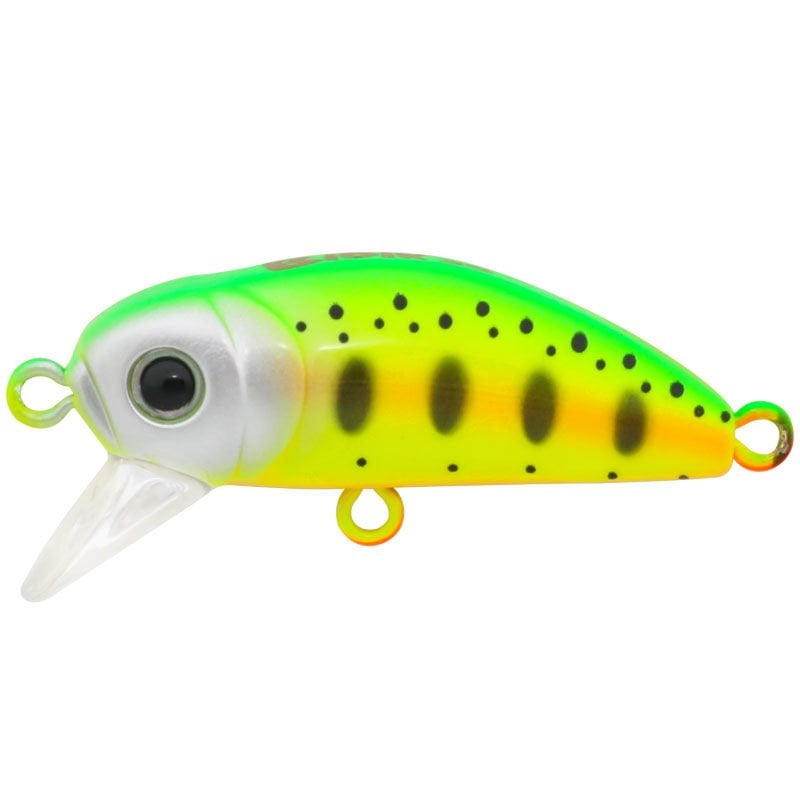 Bıdık 35  X-116  Trout Clow
