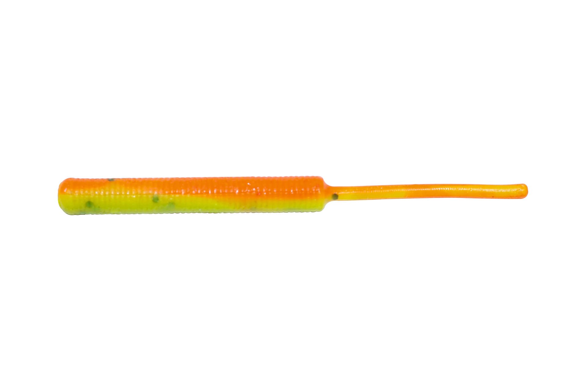 Larva  LV-62  Uv Tiger