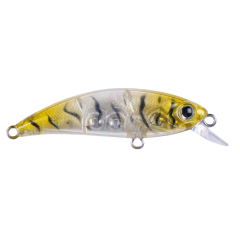 Zıpır SPK-22 Glass Shrimp