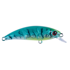 Zıpır SPK23 - Tropical Shrimp