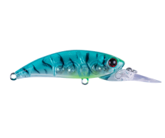 Zıpır SPU23- Tropical Shrimp