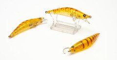 LM200 - Honey Shrimp