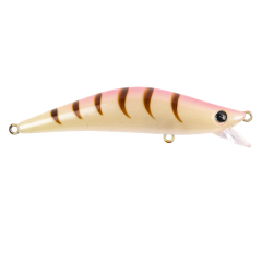 LM204 - Special Shrimp