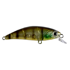 Zıpır SPK-48 Goby