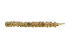 Bibi 70 mm  L-208  Sandy worm
