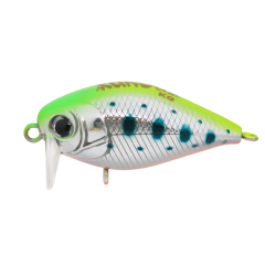 Kunduz KG  SB-118  Trout UV