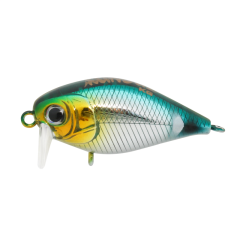 Kunduz KG  SB-124  Melanur