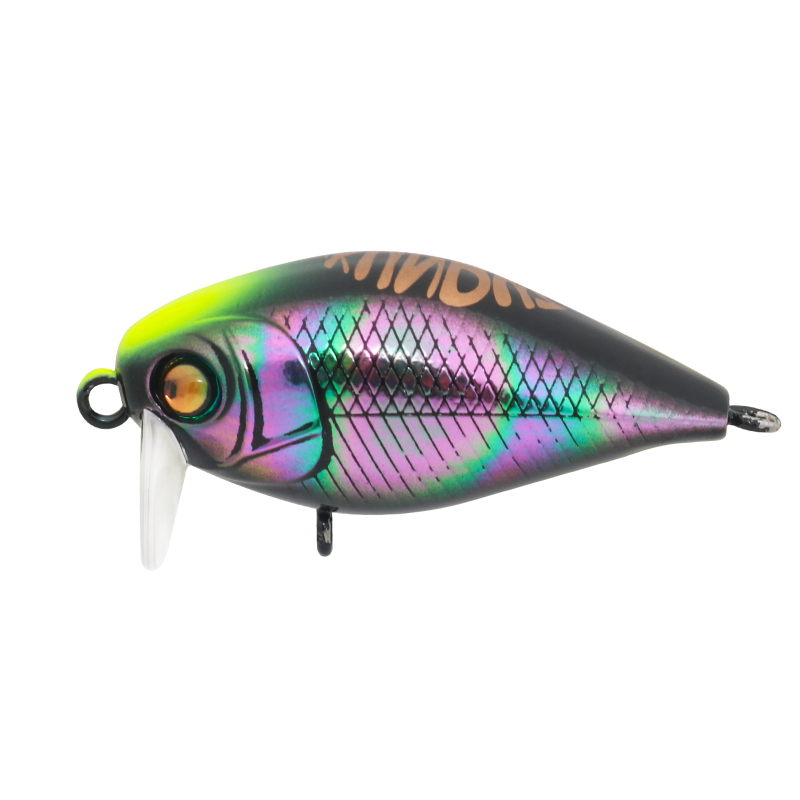 Kunduz Kg  SB-142  Spin Star