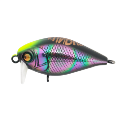 Kunduz Kg  SB-142  Spin Star