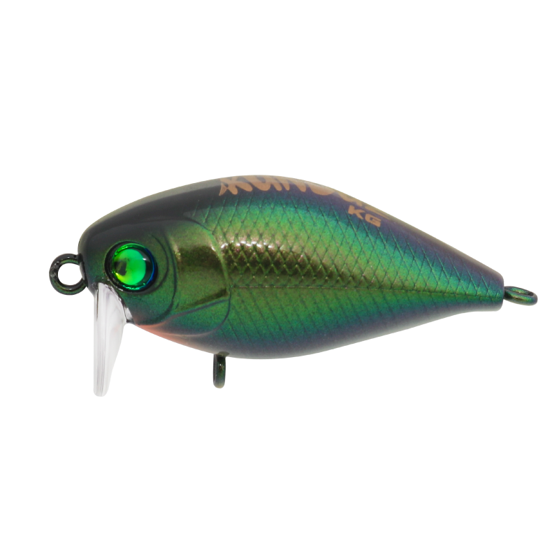 Kunduz KG  SB-146  Black Fly