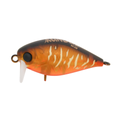 Kunduz KG  SB-150  Ghost Fly