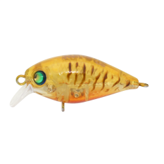 Kunduz UG  LB-106  Teke