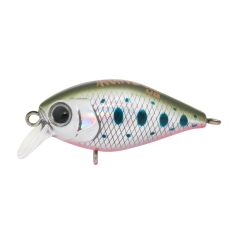 Kunduz UG  LB-116  Trout Bait