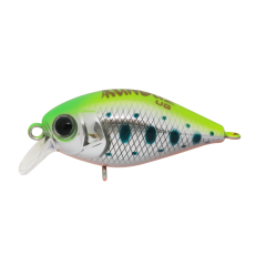 Kunduz UG  LB-118  Trout UV