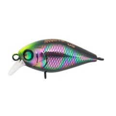 Kunduz UG  LB-142  Spin Star