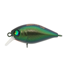 Kunduz UG  LB-146  Black Fly